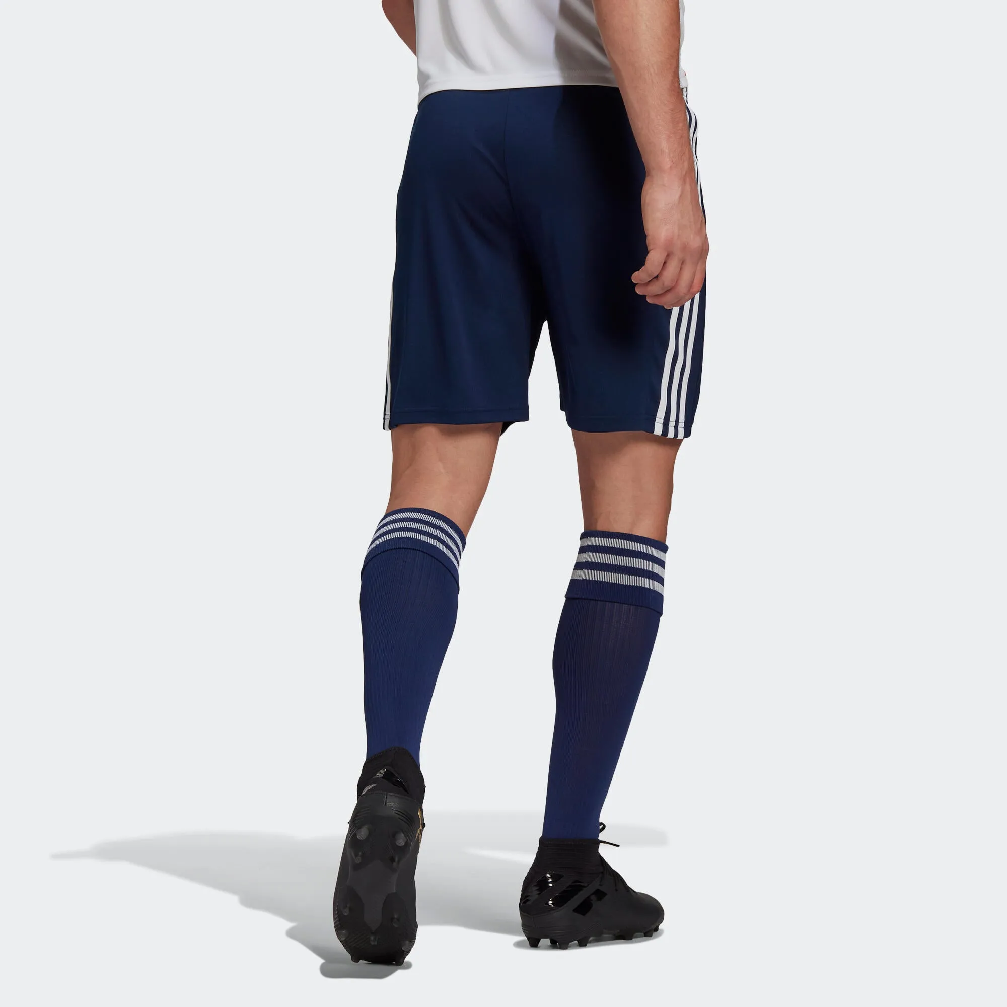 Football trousers short Squadra men's royal blue ADIDAS, blue